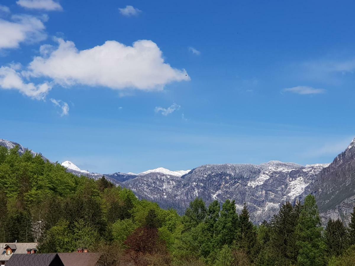 Hotel Gasperin Bohinj Room photo